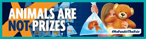 rspca pets as prizes.
